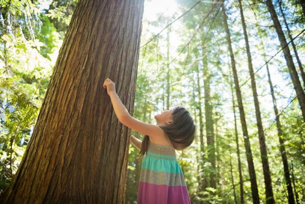 Trees and multi-function printers: Friends at last